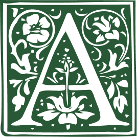 Descripción de la imagen