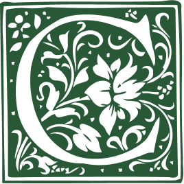 Descripción de la imagen