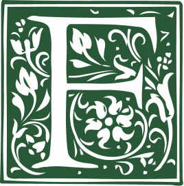 Descripción de la imagen