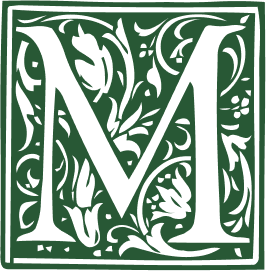 Descripción de la imagen